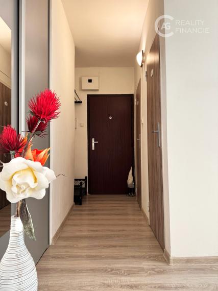 AGREALITYI NA PRENÁJOM KOMPLETNE ZARIADENÝ 1I. BYT V BLÍZKOSTI VRAKUNSKÉHO LESÍKA