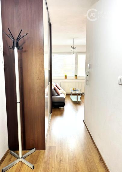 AG reality I na prenájom útulný  1 izbový byt v Rovinke