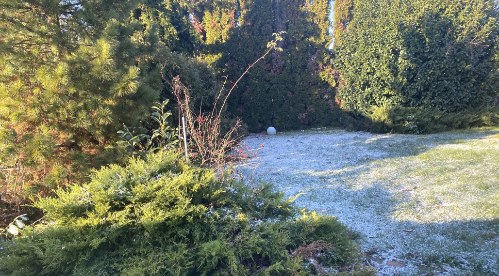 AG reality I Na predaj stavebný pozemok - Kalinkovo