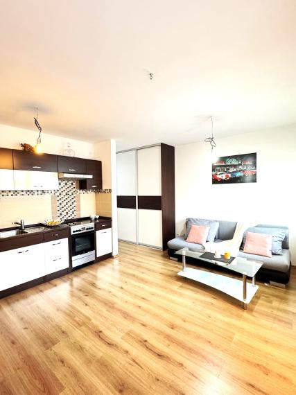 AG reality I na prenájom útulný  1 izbový byt v Rovinke