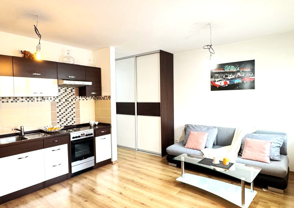 AG reality I na prenájom útulný  1 izbový byt v Rovinke